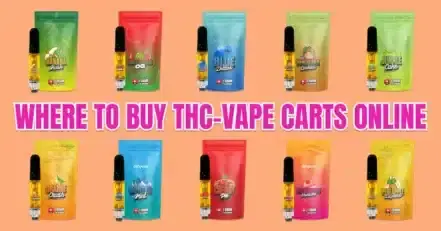 Where to Buy Vape Carts in Bulk Online: 2025 Buyer’s Guide